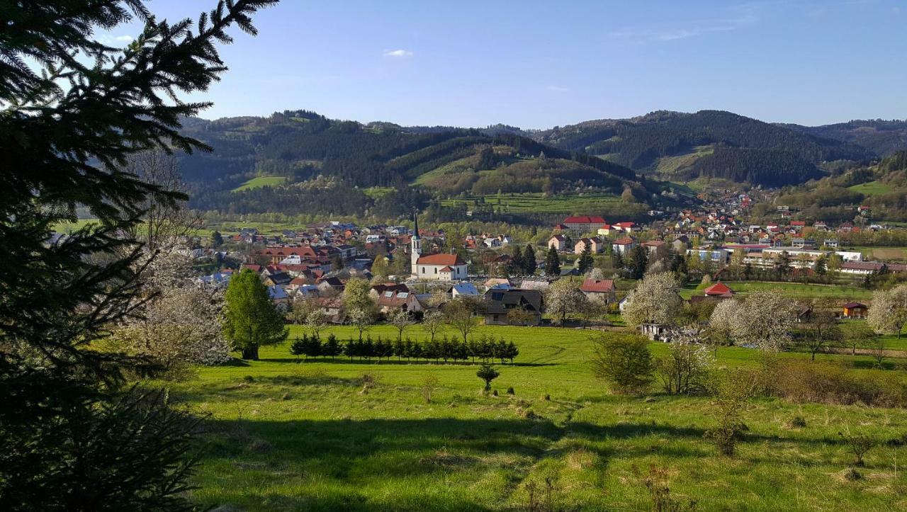 Ubytovani U Valasskych Ponozek Hovezi Extérieur photo